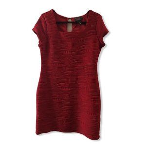 Dressbarn Collection Lined Sleeveless Red Dress